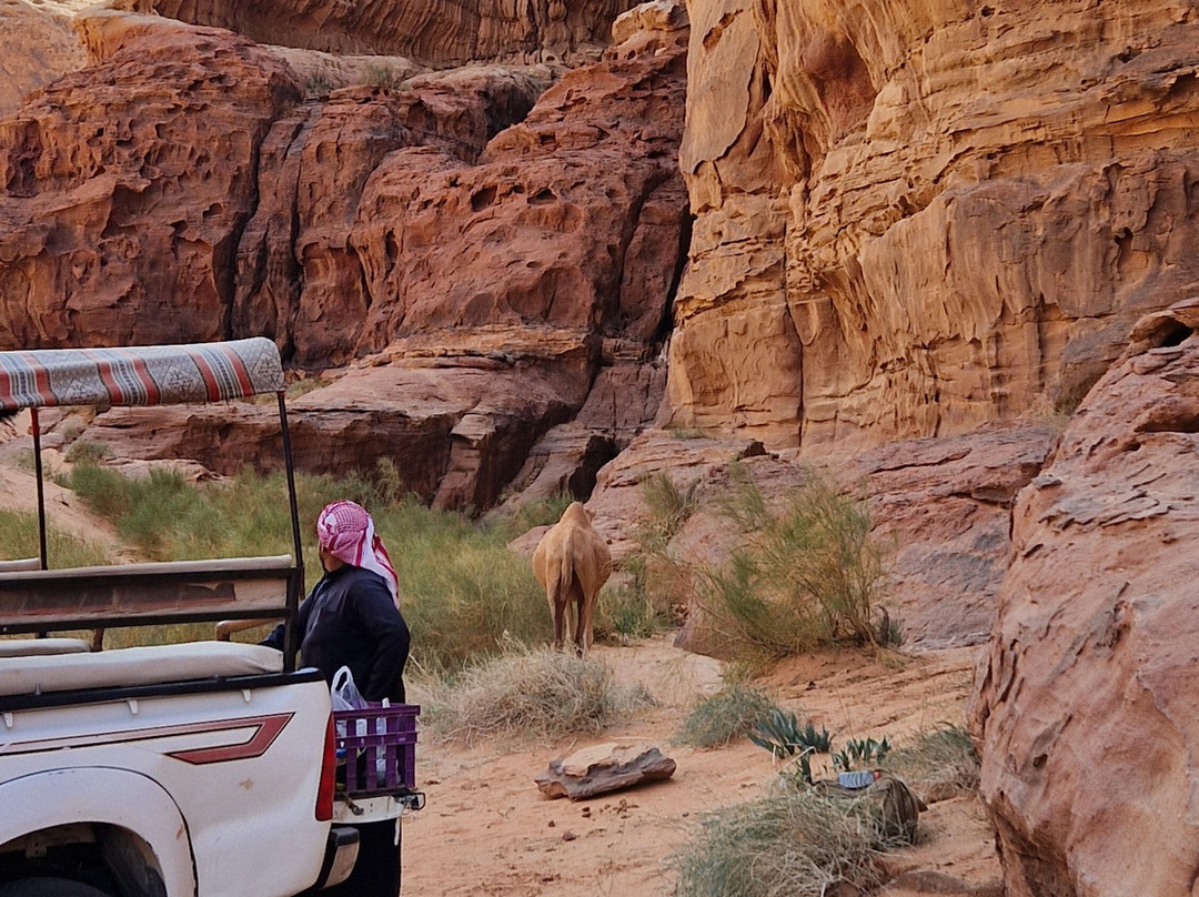 Wadi Rum Nomads-Wadi Rum Village必去景点