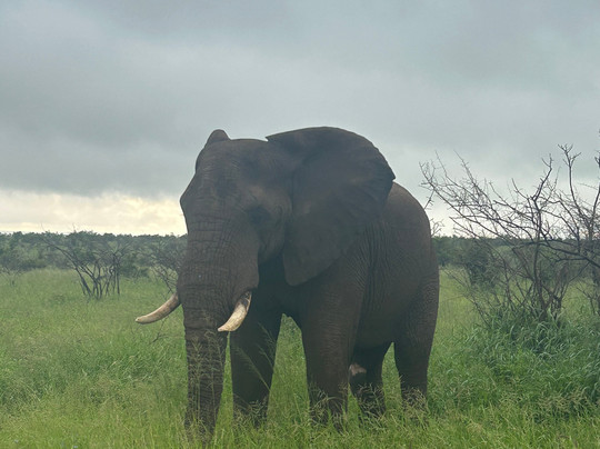 Sentashya Safaris-玛洛斯帕克必去景点