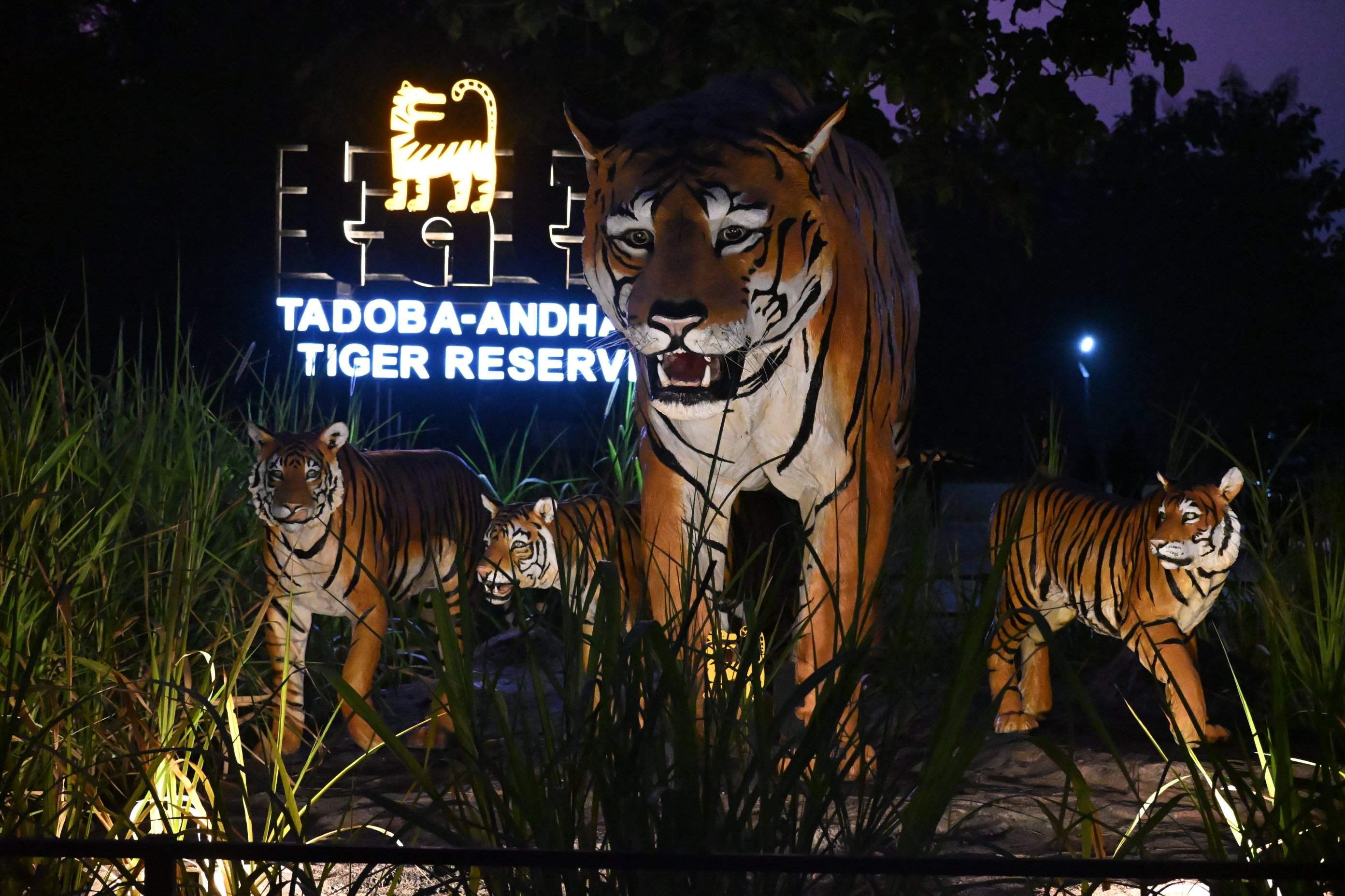 Irai Safari Retreat-官方