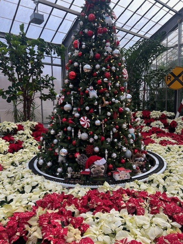 Garfield Park Conservatory & Sunken Garden-印第安纳波利斯必去景点