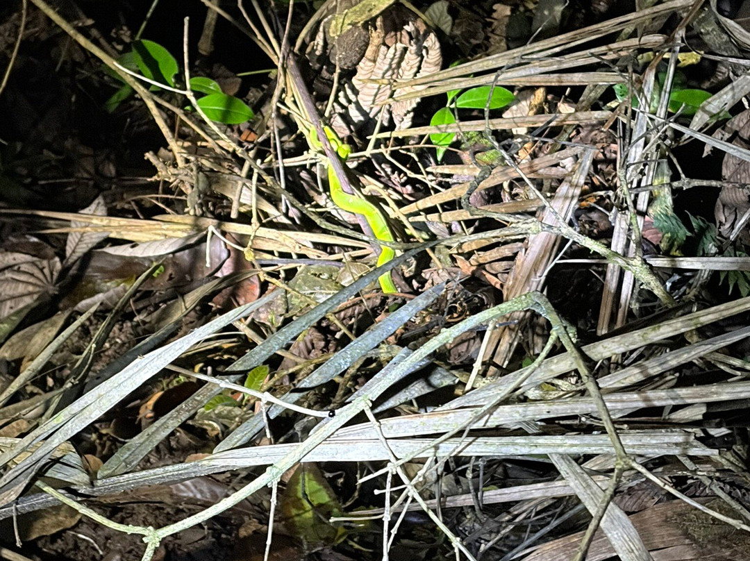 Monteverde Wildlife Refuge-圣埃伦娜必去景点