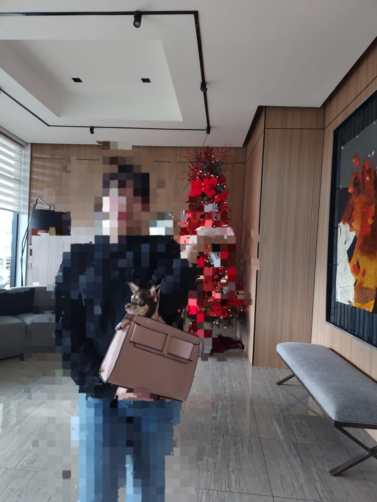 Aranjuez Hotel and Suites-官方