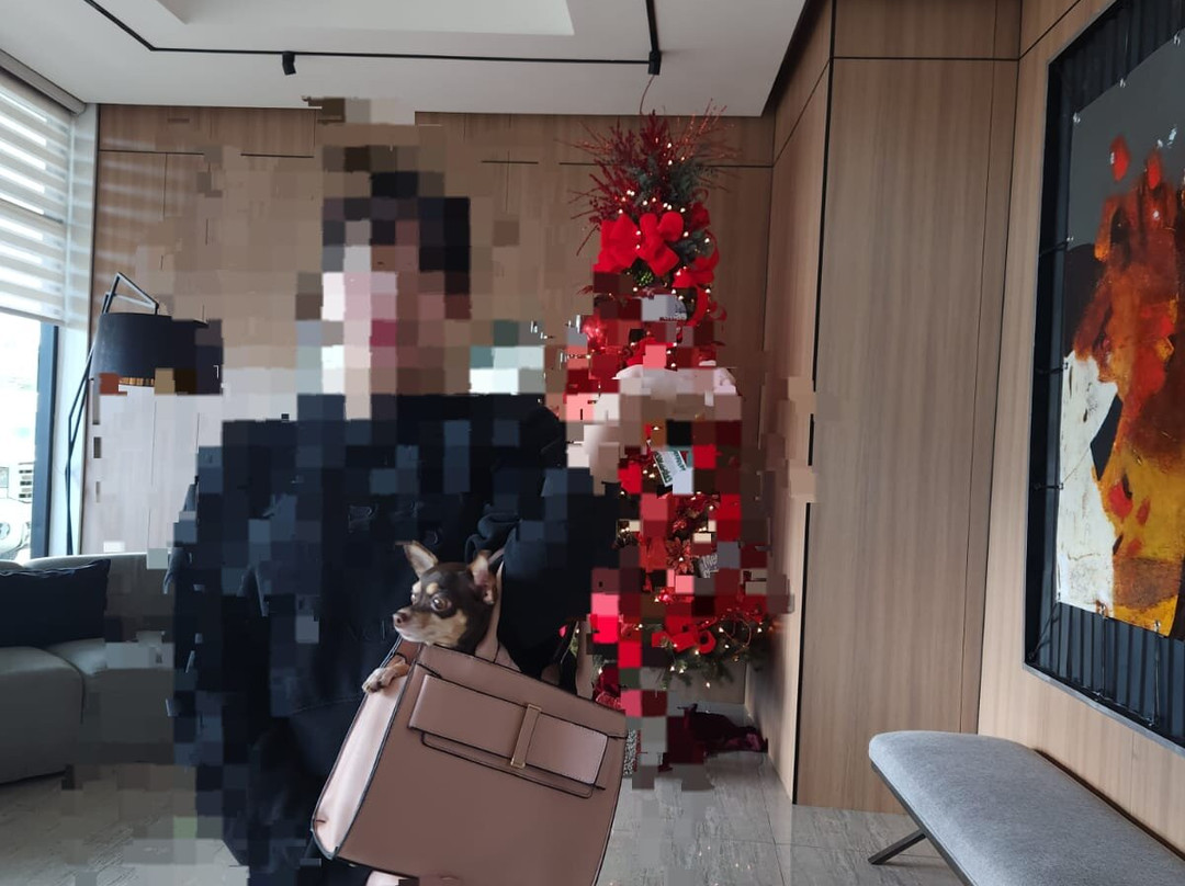 Aranjuez Hotel and Suites主图