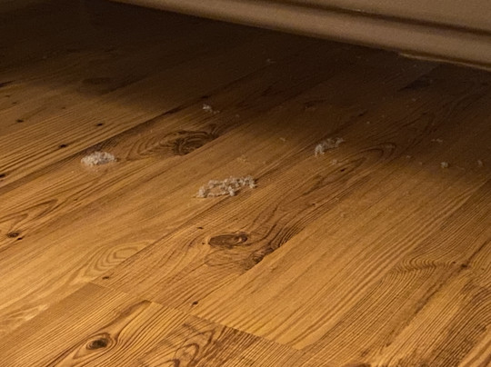 斯科尼霍夫酒店主图