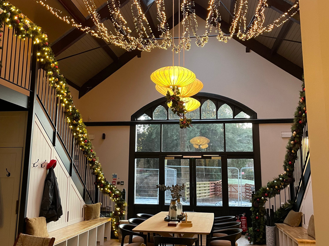 Pine Trees Hotel主图