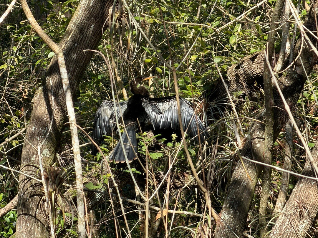 螺旋沼泽鸟兽禁猎区-那不勒斯必去景点