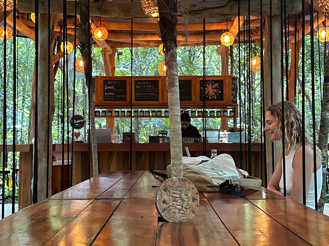 Holistika Tulum-图伦必去景点