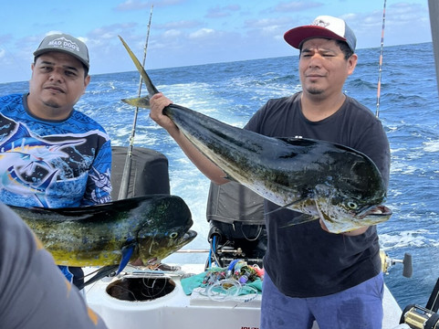 Vikingo Charters-瓦拉塔港必去景点