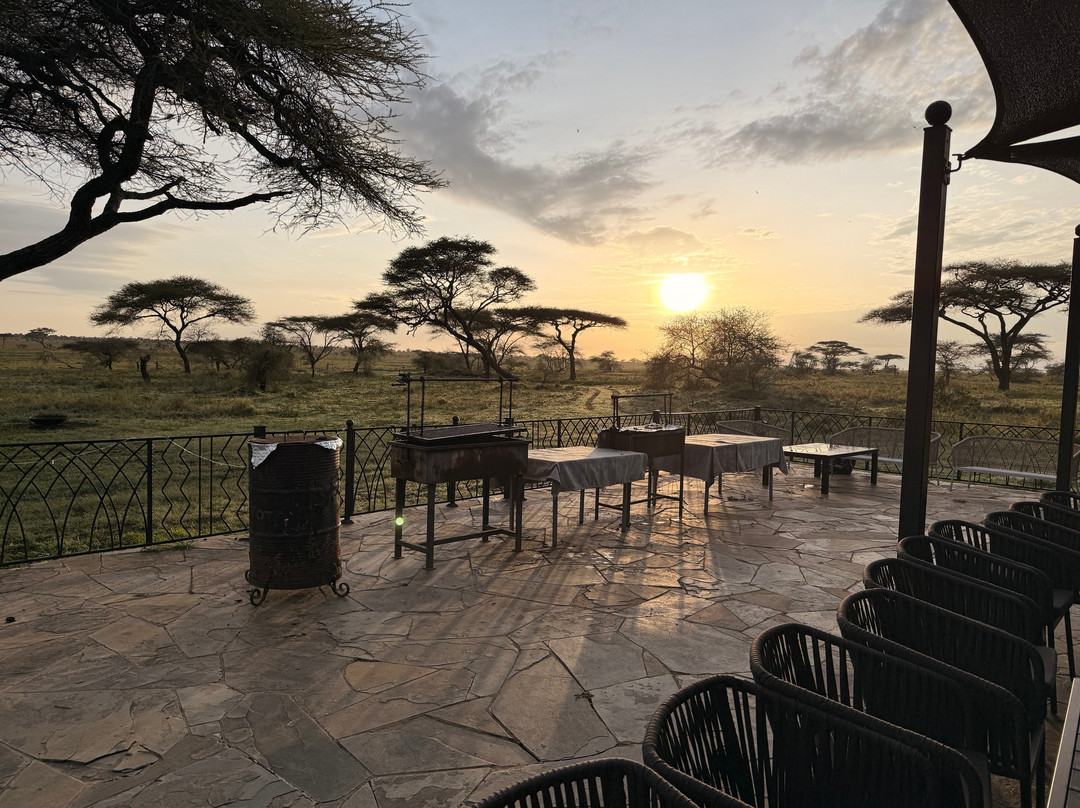 Serengeti Sons Safaris-阿鲁沙必去景点