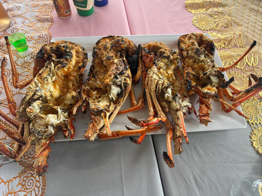 Alex Croisiere Grenadines et Caraibe-Le Marin必去景点