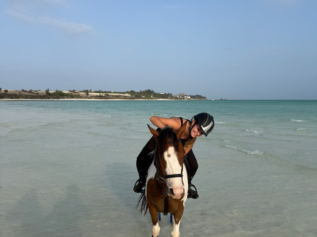 Zanzibar Horse Club-孥归必去景点