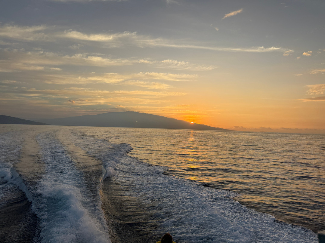 Maui Diamond Sea Sports-玛阿拉也亚必去景点