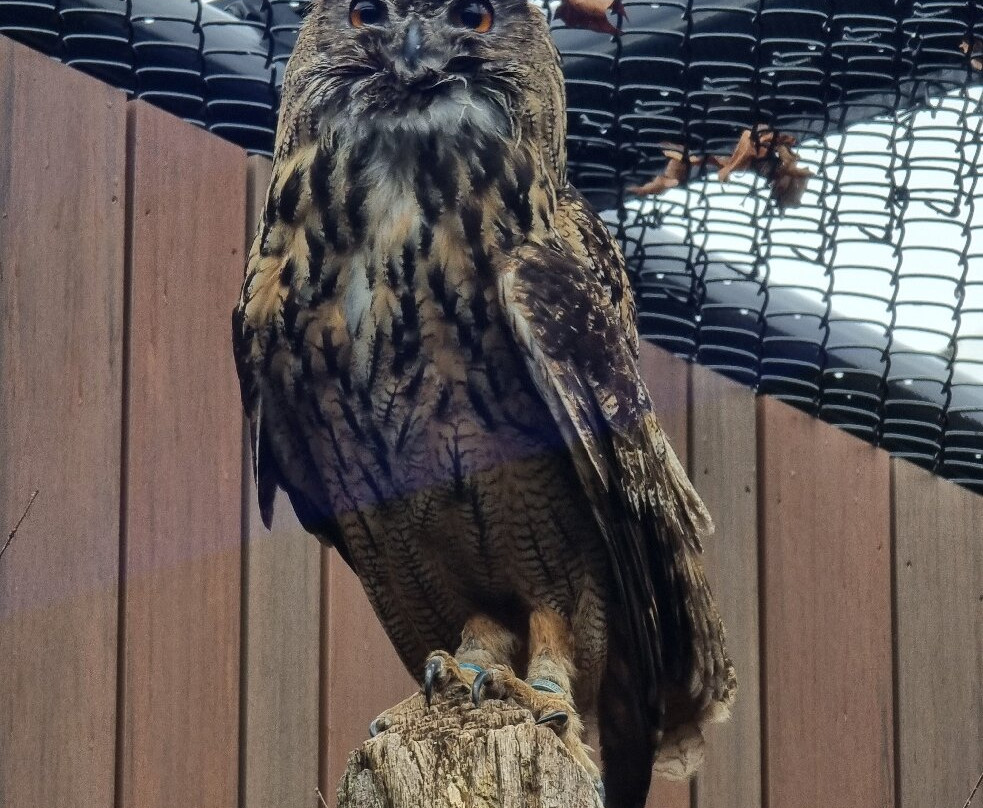 国家鸟类公园-匹兹堡必去景点