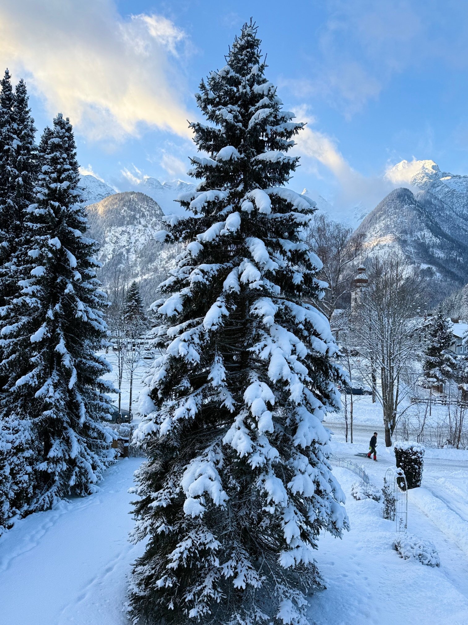 Haus Patricia-官方