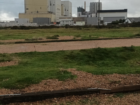 Dungeness Beach-Dungeness必去景点