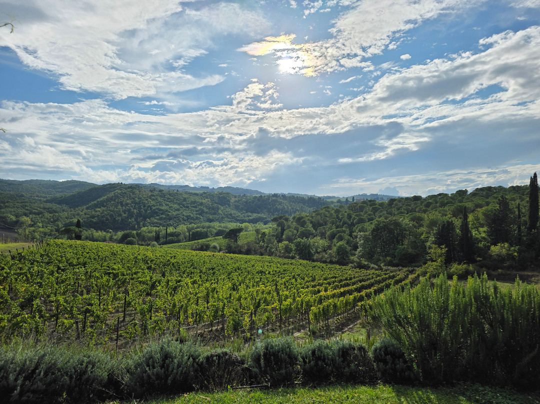 Tenuta di Nozzole-格雷韦伊恩基亚恩蒂必去景点