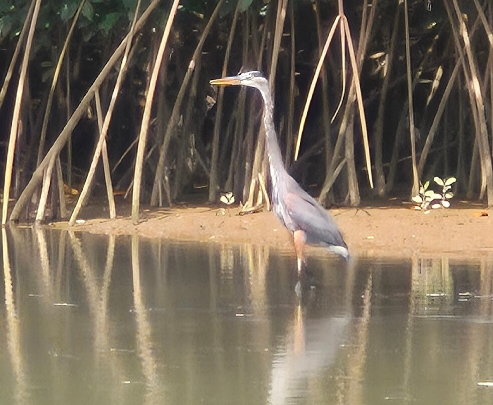 Best of Costa Rica DMC-圣何塞必去景点
