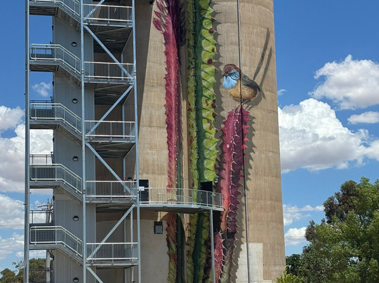 Rainbow Silo Art-Rainbow必去景点