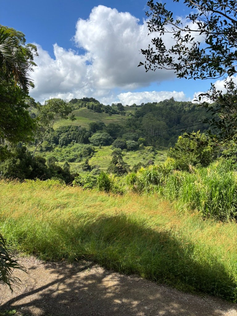 The Falls Montville-官方