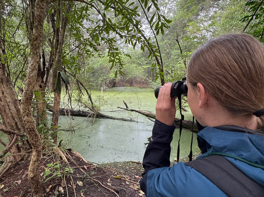 Calakmul Adventures day tours-Xpujil Town必去景点