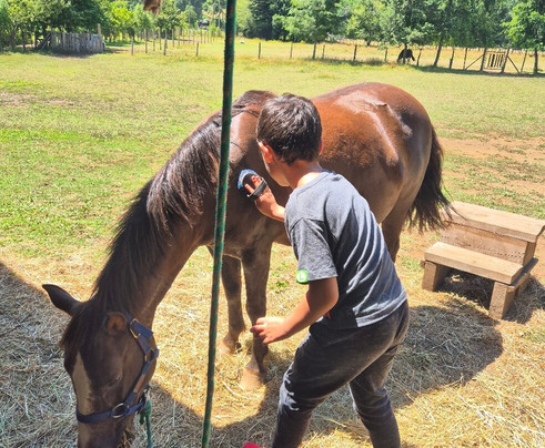Alma Equina Pucon-普孔必去景点