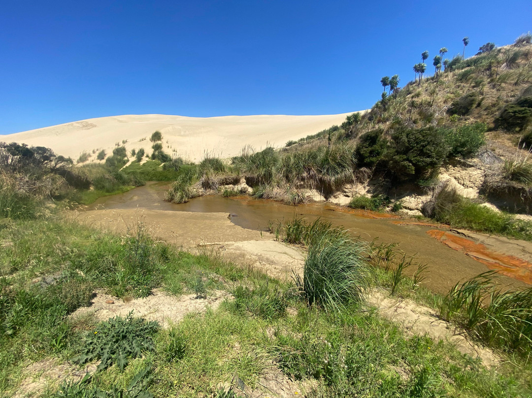 Te Paki Sand Dunes-Pukenui必去景点