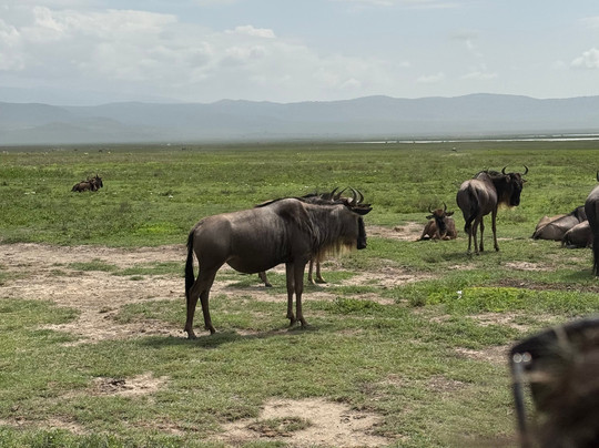 Usaka African Adventures-阿鲁沙必去景点