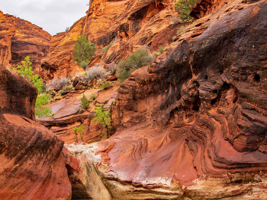 Red Cliffs National Conservation Area-圣乔治必去景点