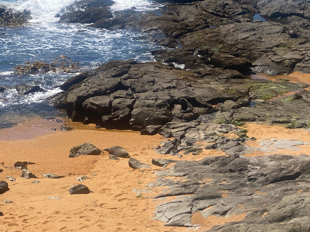 卡迪基灯塔-摩拉基必去景点