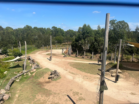 Sydney Zoo-布莱克敦必去景点