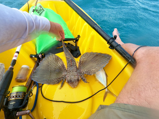 Kayaking Barbados-Saint Lucy Parish必去景点