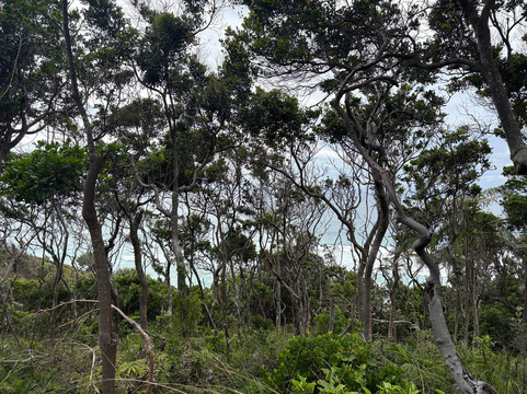Kings Beach-Broken Head必去景点