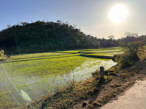 Dalat Discovery Travel-大勒必去景点