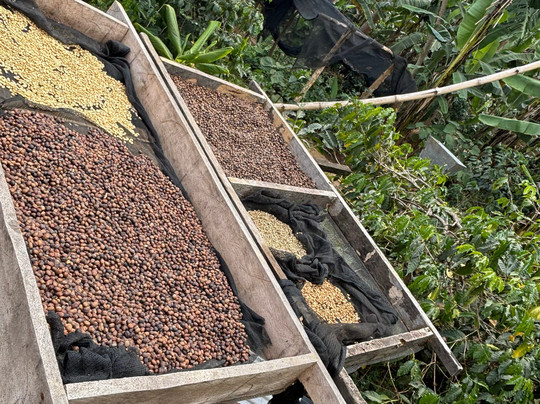 Ifulong Cultural Tourism-阿鲁沙必去景点