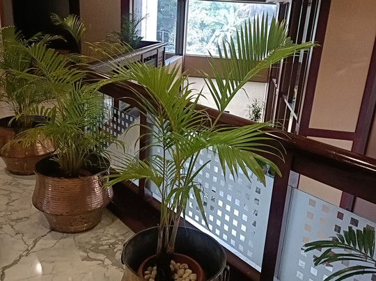 经典大道酒店主图