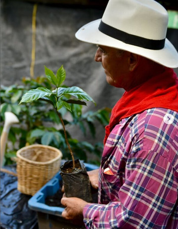 Jaramillo's Coffee-Marsella必去景点