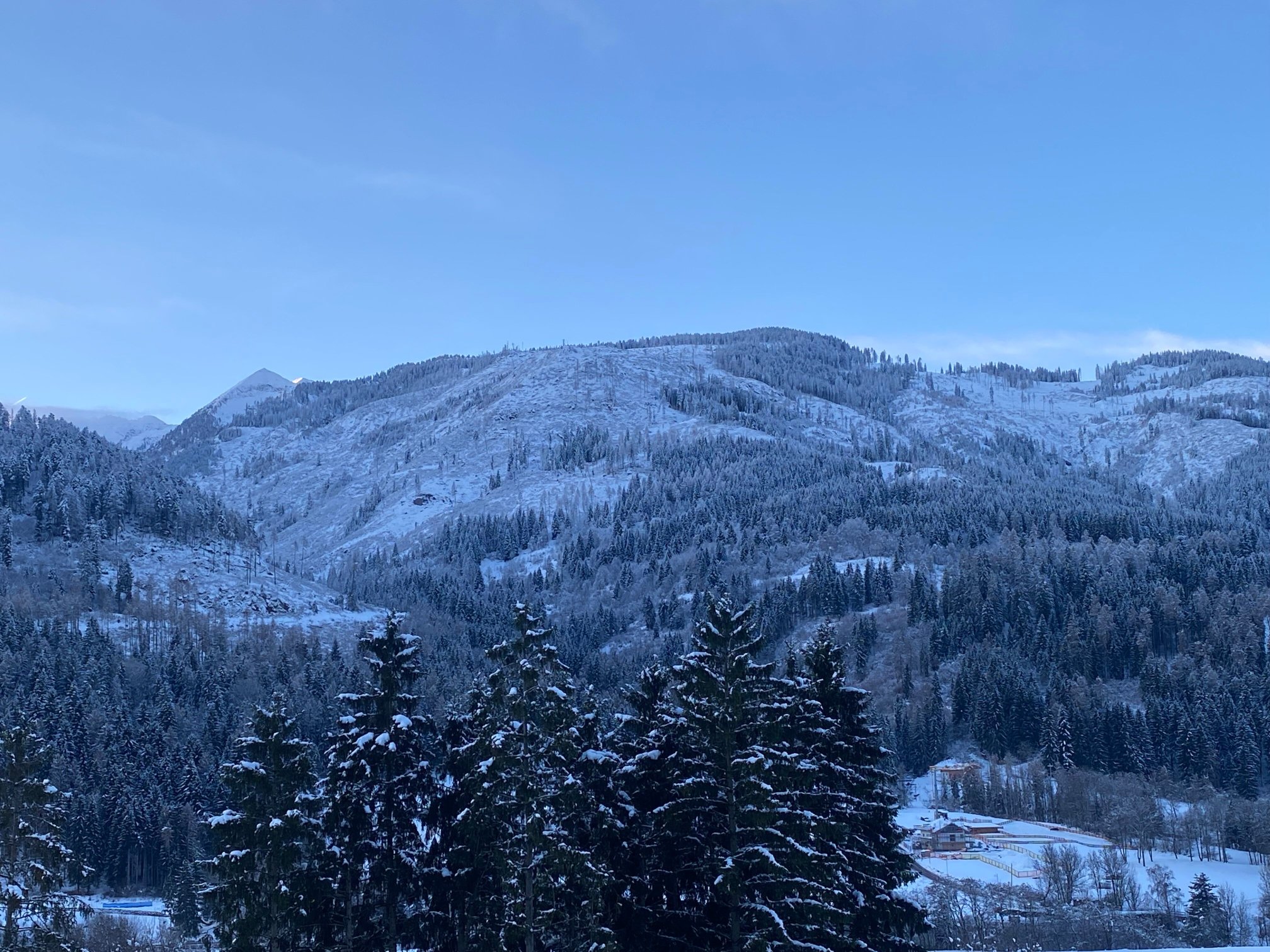 Park Hotel Regina delle Dolomiti-官方