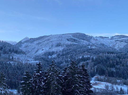 Park Hotel Regina delle Dolomiti主图