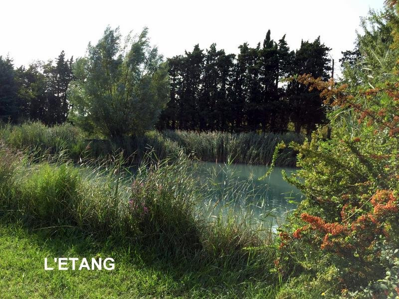 巴斯蒂特阿莫里尔住宿加早餐旅馆主图