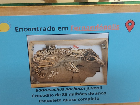 Museu de Paleontologia de Fernandópolis-Fernandopolis必去景点