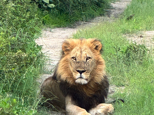 Chase Africa Safaris-鲁德普特必去景点