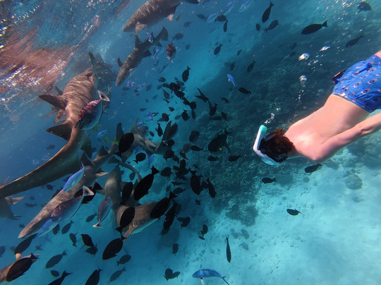 Papa Fish Excursions-乌库拉斯必去景点