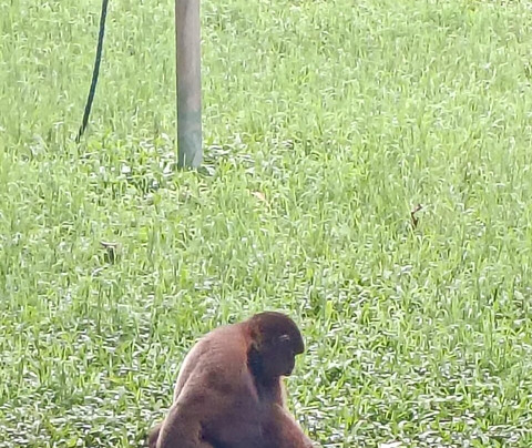 BioParque Yanacocha-Puyo必去景点