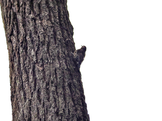 Fitzroy Falls Visitor Centre-Fitzroy Falls必去景点