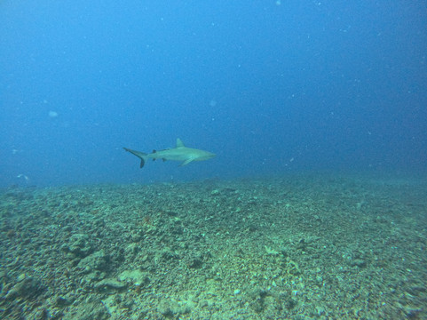 Tokoriki Diving-托阔里奇岛必去景点