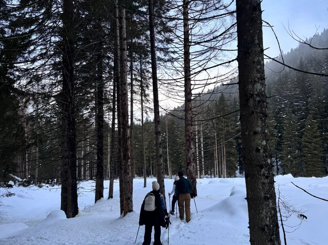 Ursus Adventures-Ossana必去景点