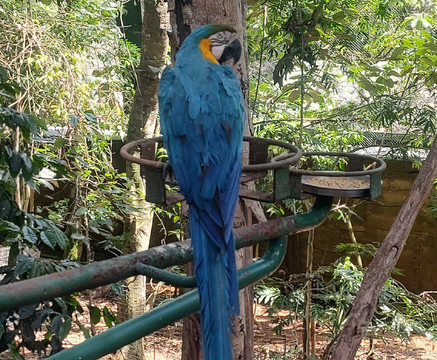 Animália Park-Cotia必去景点