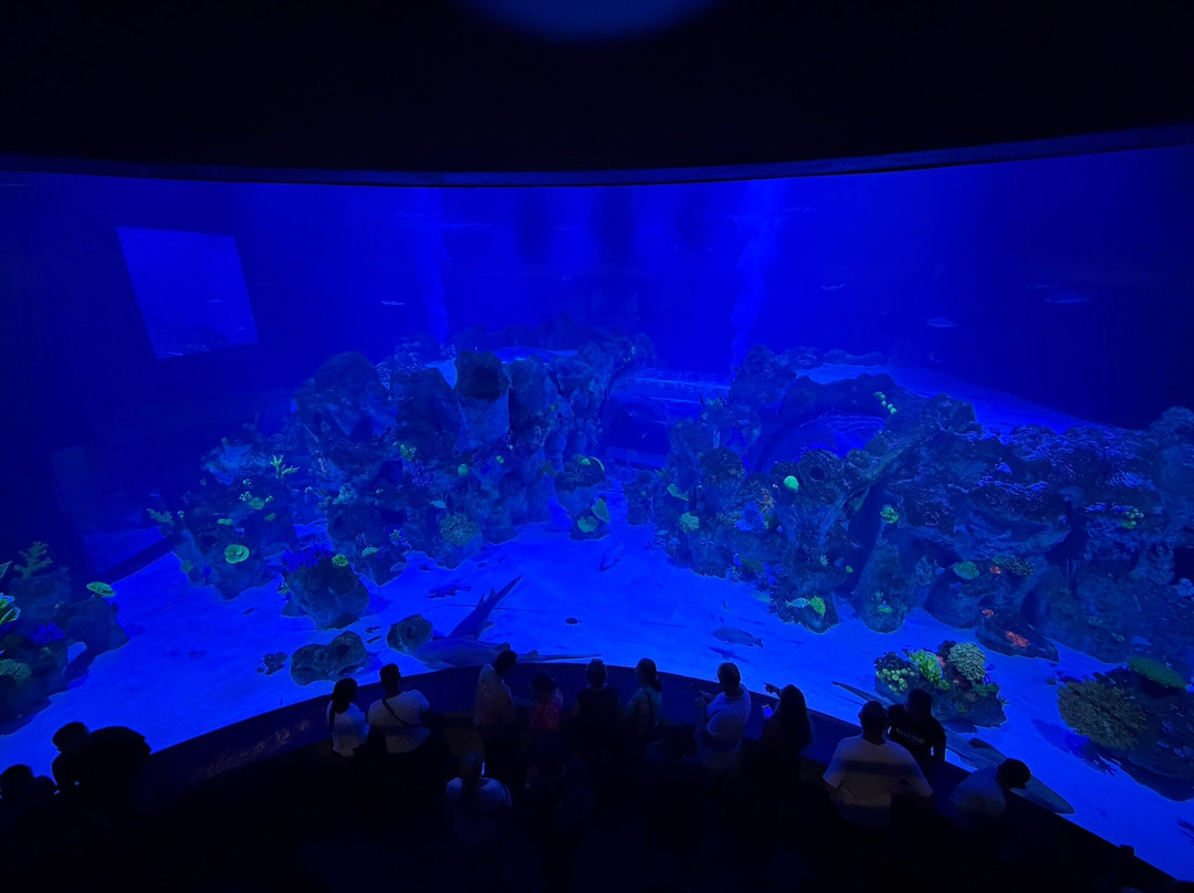 AquaFoz-伊瓜苏必去景点