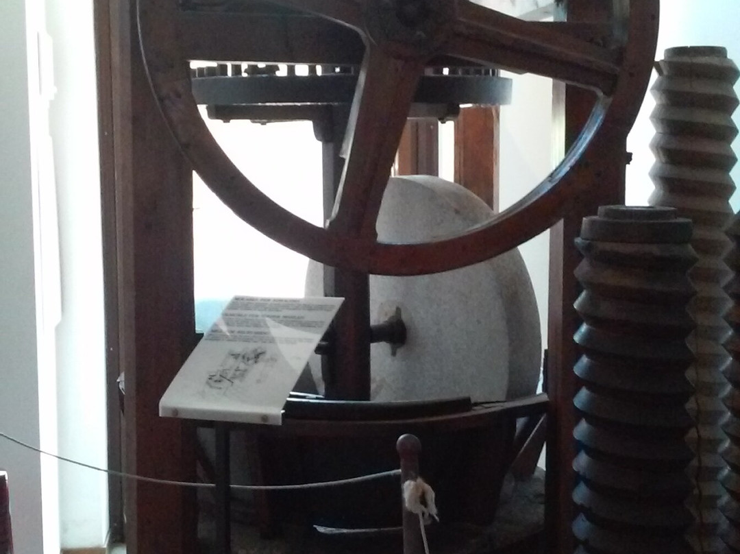 Museo Dell'olio D'oliva-Cisano必去景点