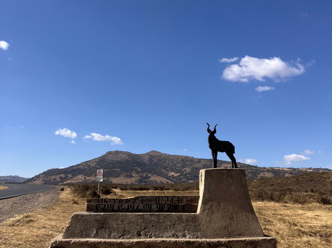 Bale Mountains Tours-Bale Mountains National Park必去景点